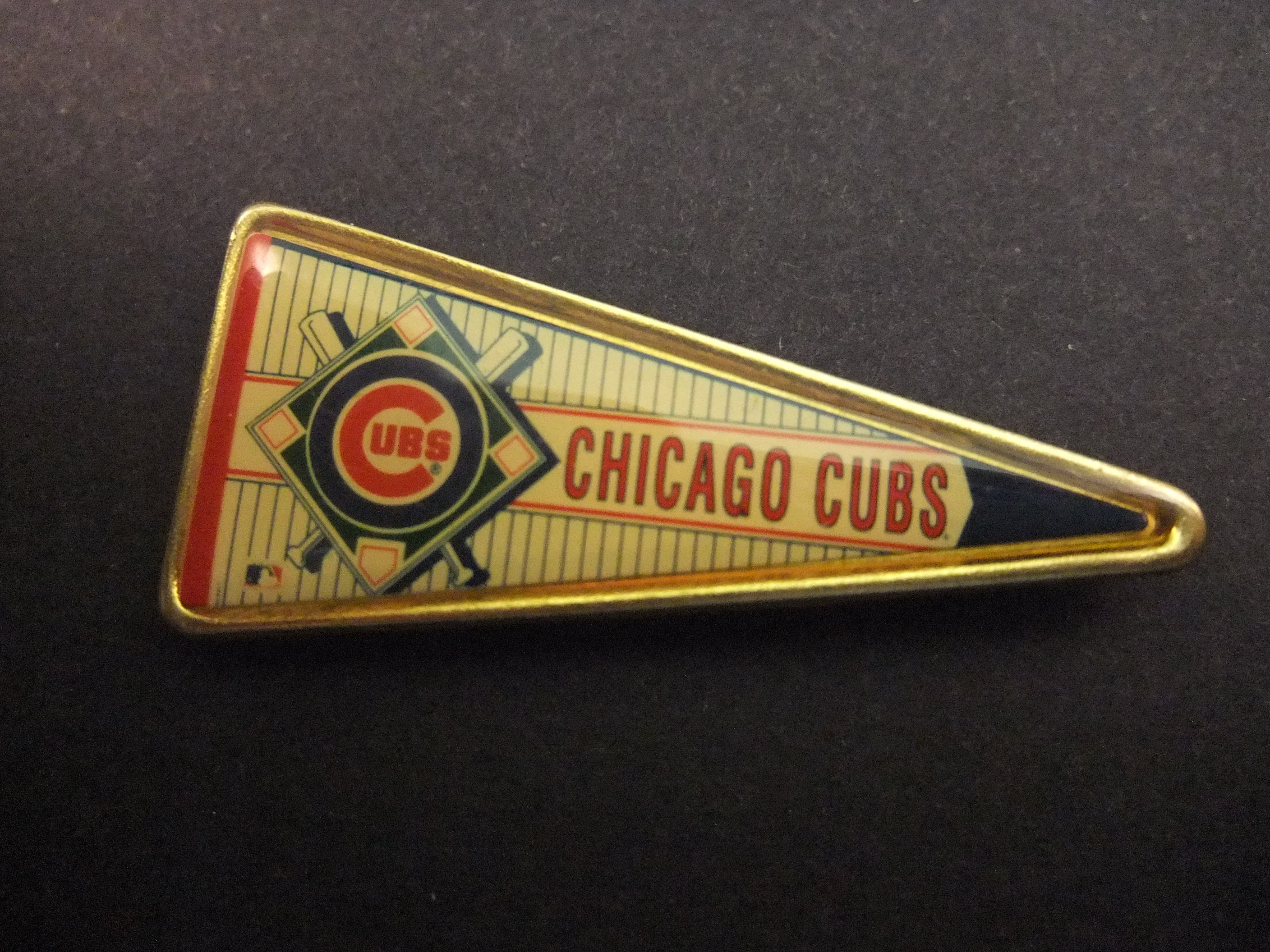 The Chicago Cubs baseballteam Chicago, Illinois